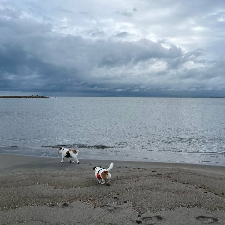 5f651bd5 465d 4296 9f09 e40c8eb2fc85 1696909202144