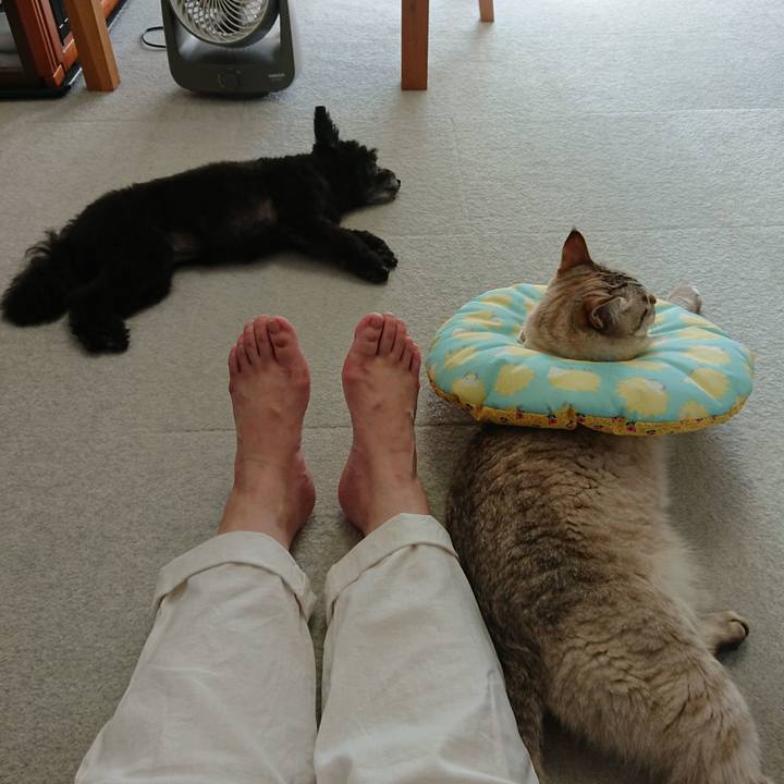 5f65318c 3c90 486c a416 fee9b85a2c84 1564899251975