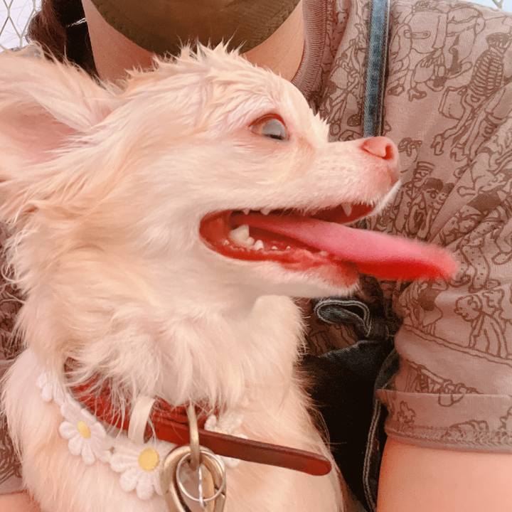 5f65ab3f 86e1 4db3 9e1a 29beeb272a46 1659434326922