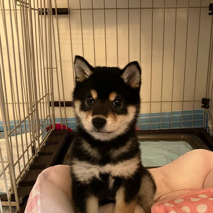 5f65b46e bb4e 41ce 8ce4 baf78c2e8c09 1774824567768