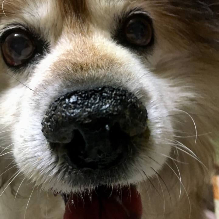 5f65ed5a cb16 4855 98af 5cf02dc97e83 1565862884418