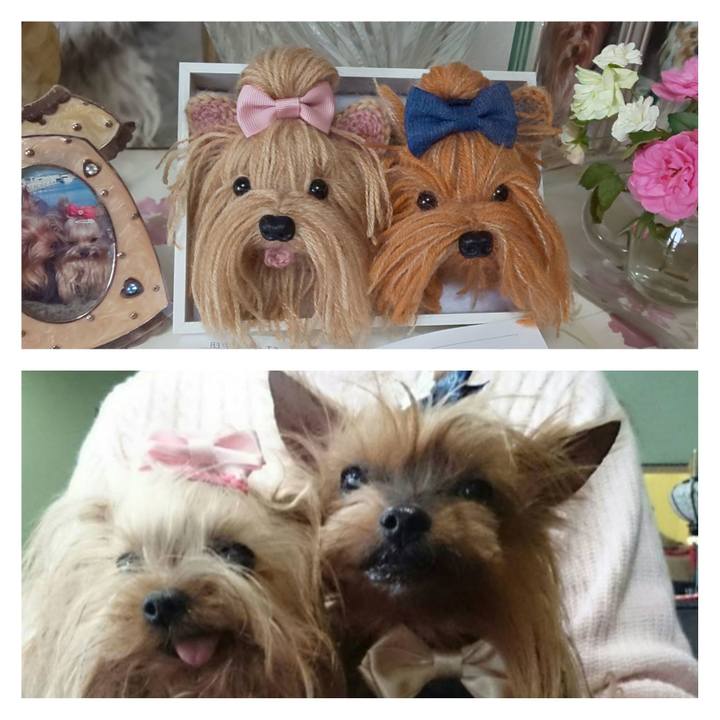 5f65fd2d 39c8 4461 bea5 736fb6bb2817 1683891723234