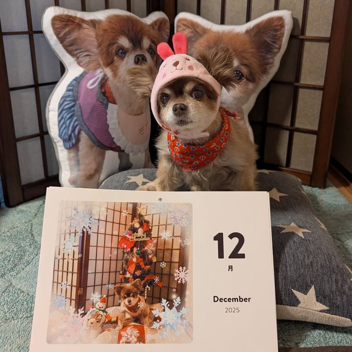 5f660ce5 103d 4991 8f13 9d64919983d8 1764539697699