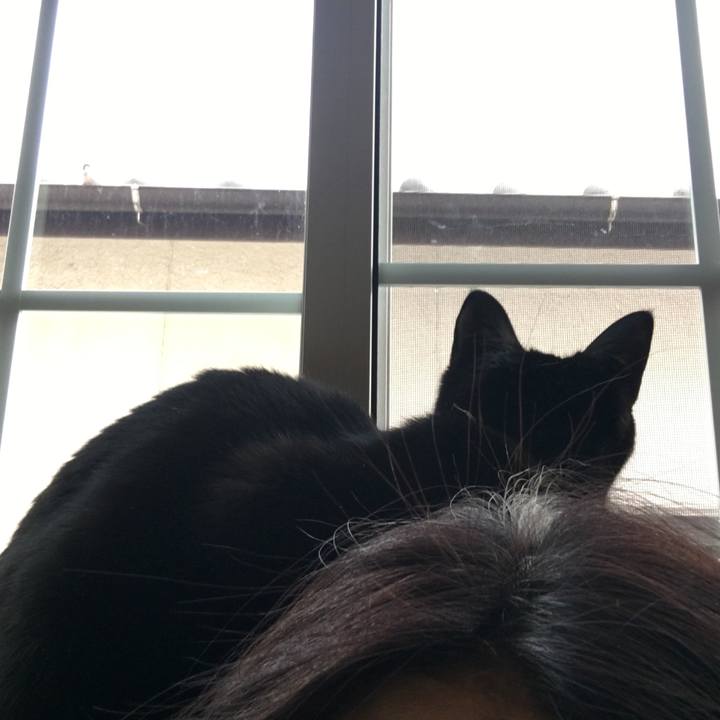 5f661228 cc26 4d07 9cae e791062011e2 1553987805963