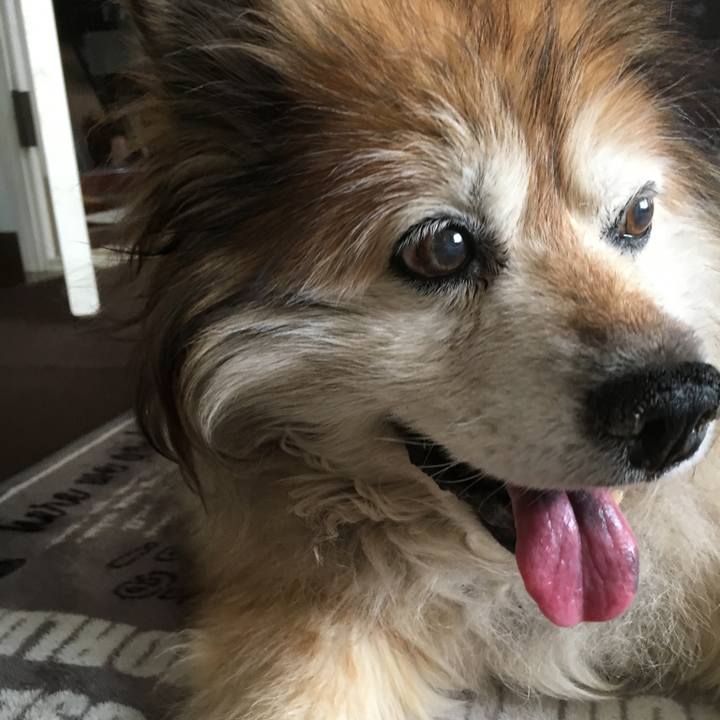 5f666826 c0d0 4258 9abc 6419308192f3 1601719806498