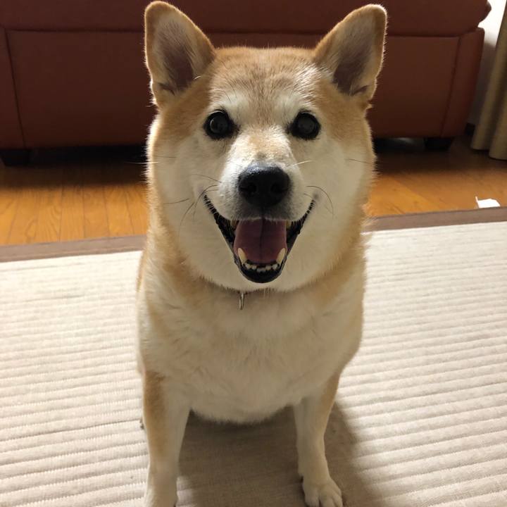 5f667575 5880 45c1 af19 d73cac7c6a39 1562500119132