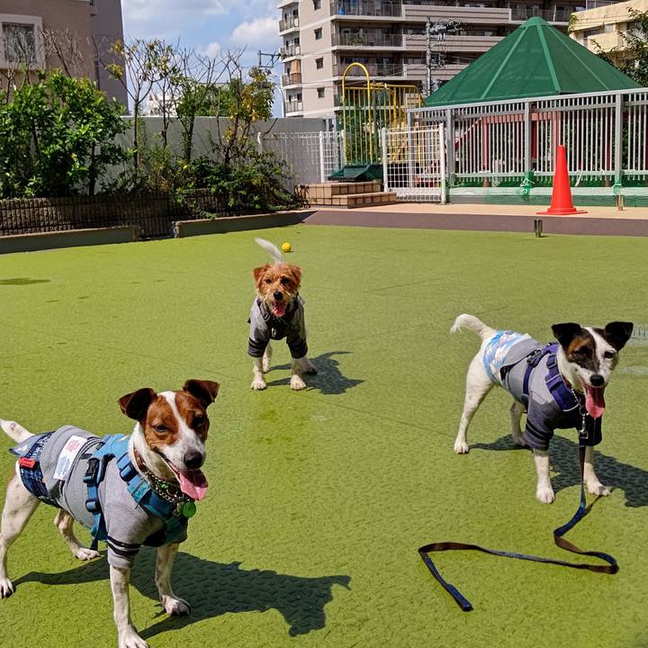 5f66836c f8c5 4283 b3c8 f5fd92a8aeee 1631247884341