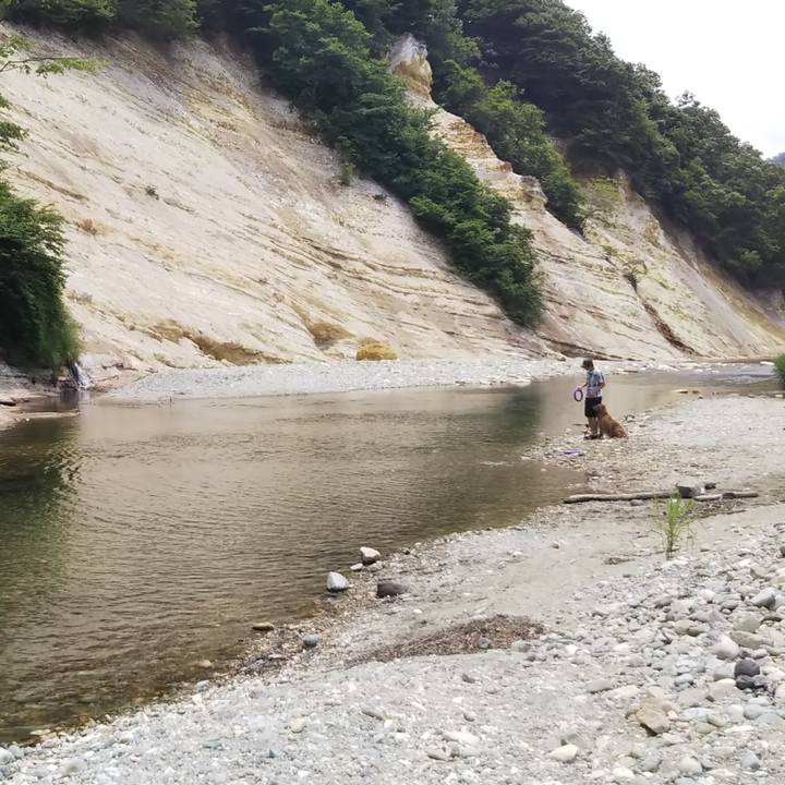 5f668a47 f0b3 4245 a99c 3a73bafb8406 1528902672437