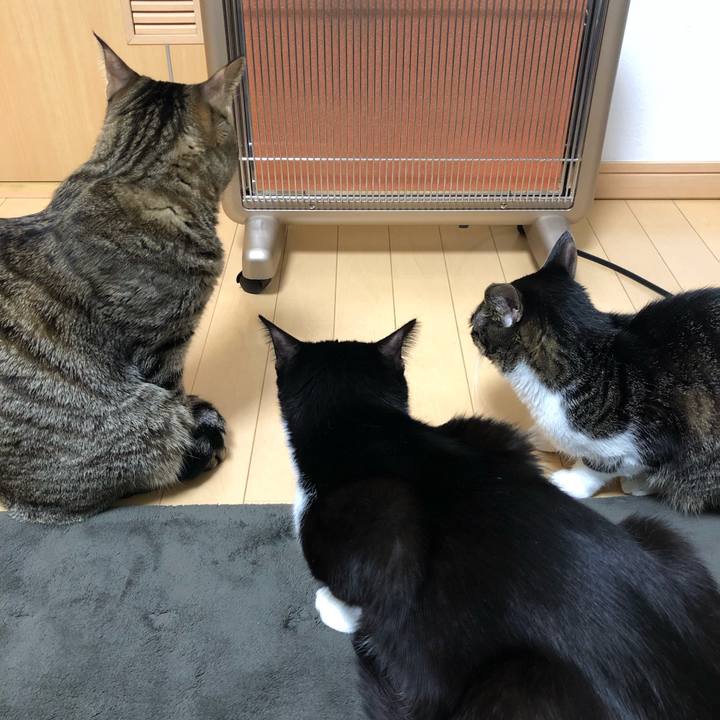 5f66a701 22fa 428c 882c 4b48cced2ff7 1552123176767