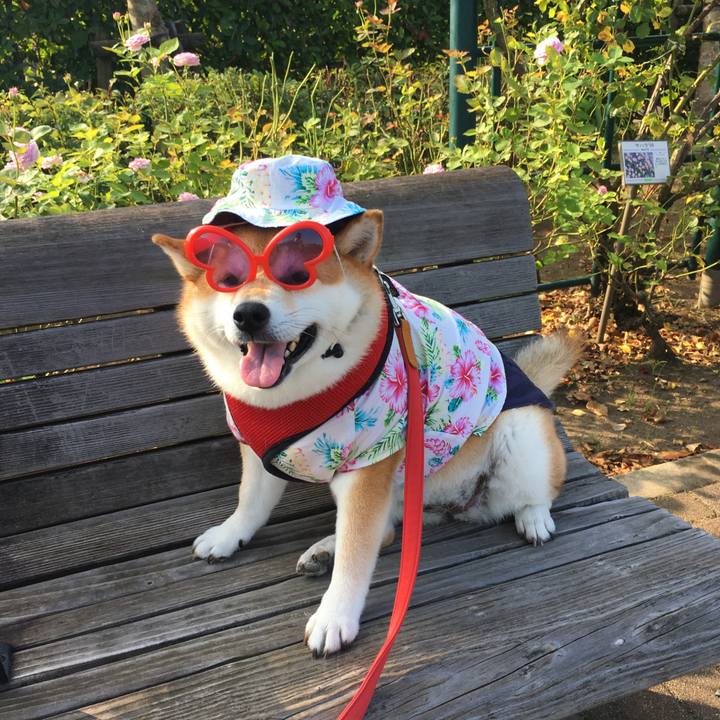 5f66ac6a 138b 4c25 a296 05a3b49087b4 1596670542550