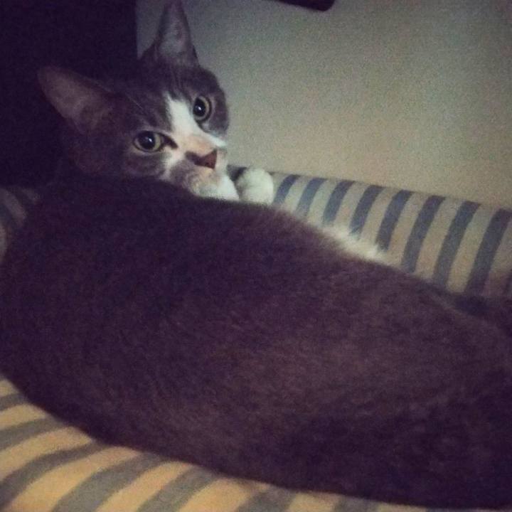 5f66d564 4977 4578 8372 1b165a62ccc9 1650837462535