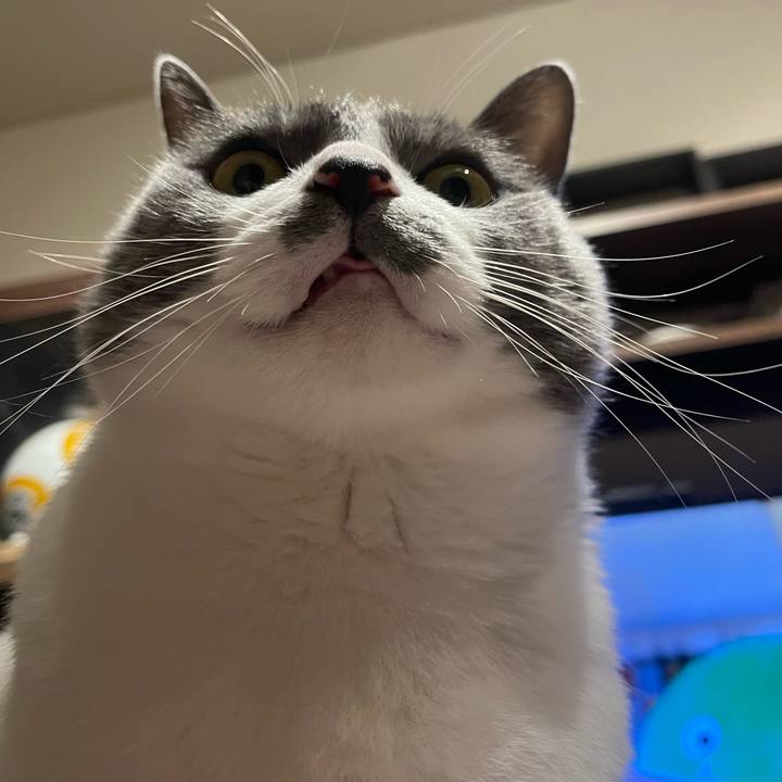 5f66ddab 5242 4b37 9470 5c951b498cd1 1670061788308