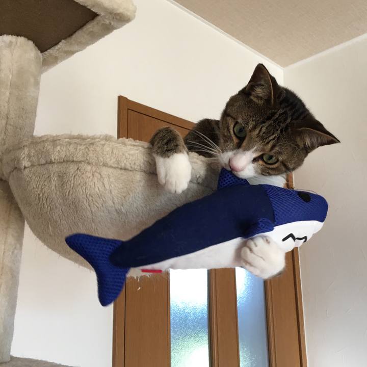 5f66f005 7745 462b 80fb 36eacfcce6bb 1696571847805