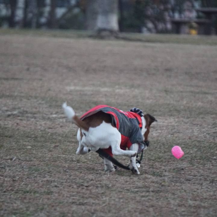 5f66f850 d39b 4727 bbe6 2f34ef420df2 1515797744770