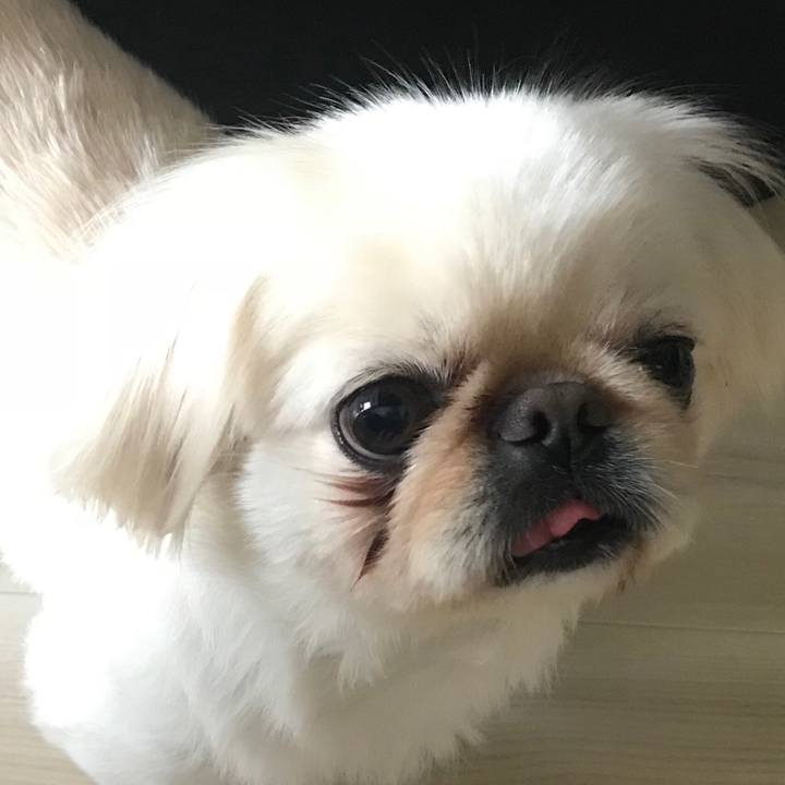 5f67061a 91a8 4bf0 a174 bae7f2815ea5 1527379356697