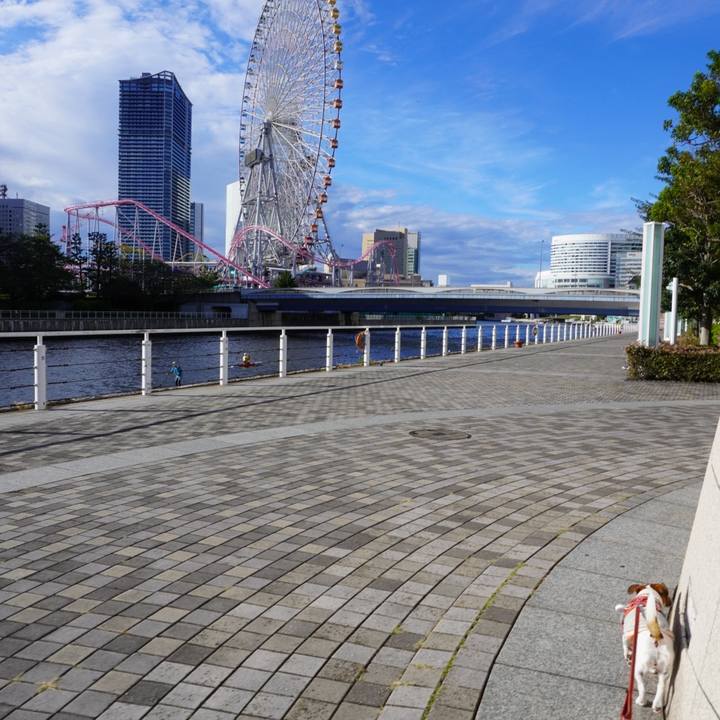 5f670972 c7fb 4bfd abd9 bf1007ac2273 1760872521642