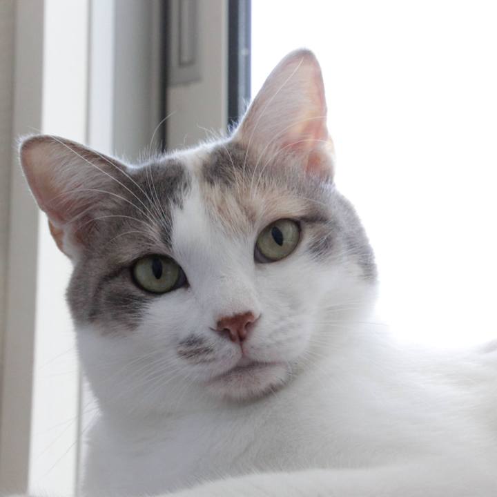 5f671a84 8166 4dac 945c 5208714c75a9 1597479254009