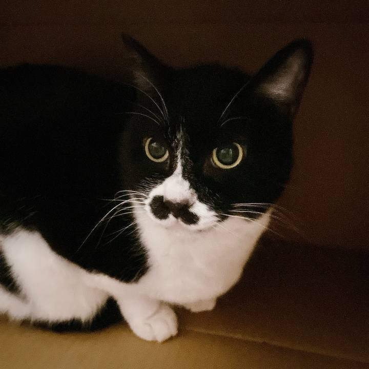 5f673a28 93c7 4cd6 b0be a6a8b3761b0a 1706569033702