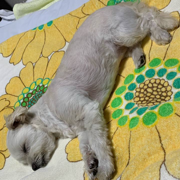 5f675d54 f344 4d51 9362 fca427f568a0 1588336216417