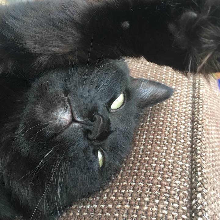 5f675ede dc11 42a2 8282 08232f275fae 1518766454790