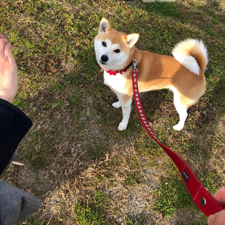 5f676508 700a 47dd b89c e07a0d049e4a 1547520195258