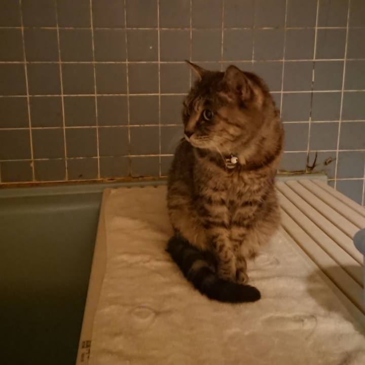 5f679d0a f3bb 4c76 8631 41d9ce34da9a 1575104414862