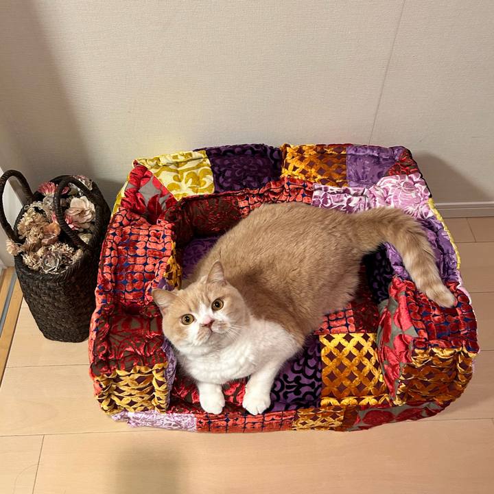 5f67b395 5218 4551 90ba 0a21810cf7f3 1772801322745