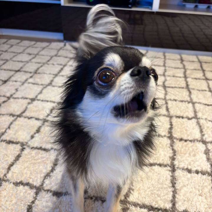 5f67d84d ccd0 43b8 b6fe 3bf3a002f5fa 1738427285824