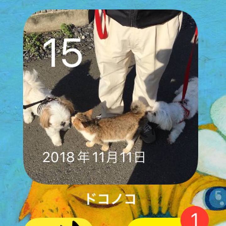 5f68400a deb8 469e 8368 ff39b256c62e 1636977306003