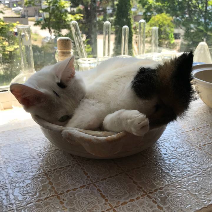 5f6869ff 4be2 495f bb3a ad201043ab67 1529202811251