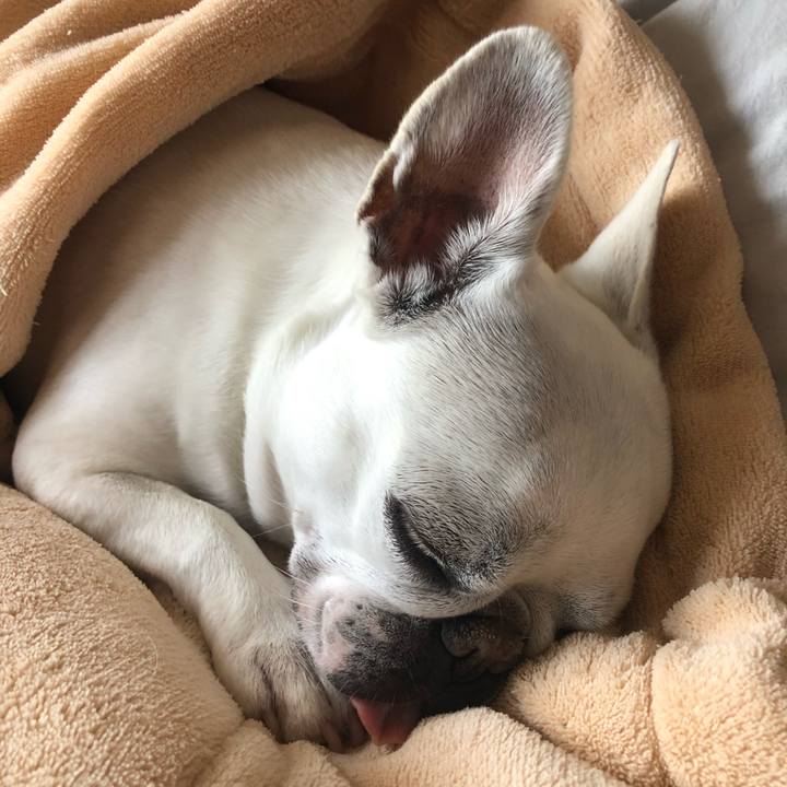 5f6873d6 8c00 49a3 904f 7389d6c1f447 1616572940507