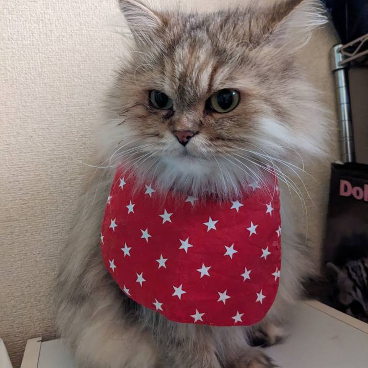 5f687dbf c3dc 4578 8b5b e99c902f3374 1699051998042