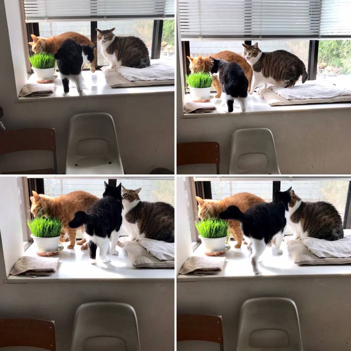 5f68858c 76cf 410b a23a e38263ac4658 1555223477038