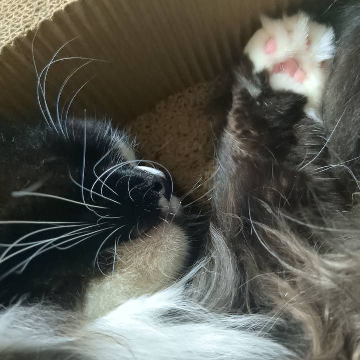 5f68917c 6020 46e8 903a 1db37564a2aa 1756380981348