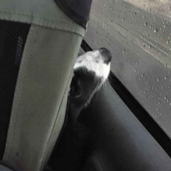 5f6894d1 b32a 4d94 a340 a82c1007aa2a 1571867309448