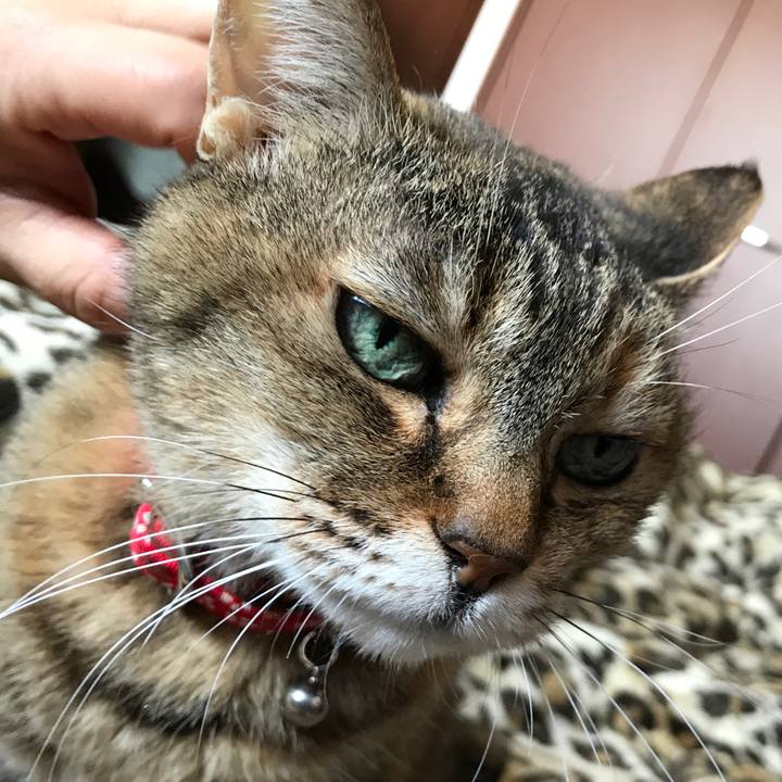 5f68b030 c207 4198 8a7c 9a5dd64da978 1525309650482