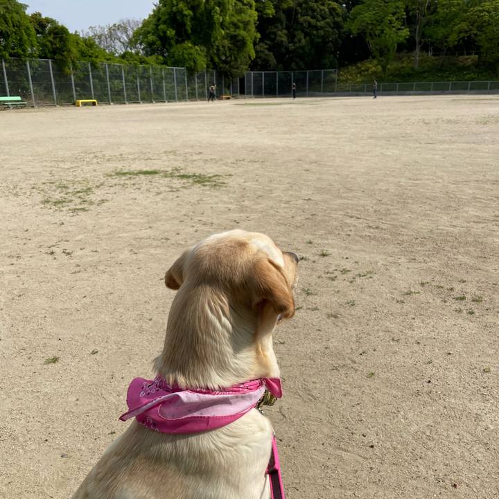 5f68b0d5 a174 4baf 9d5f dca23eb6ed8d 1651735663180