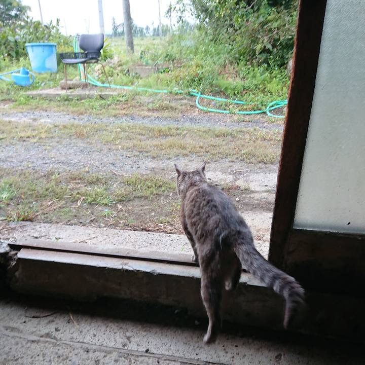 5f68d974 7e42 41e0 8527 1341c50c513f 1568583101920