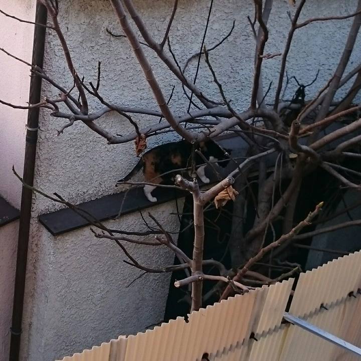 5f68f3b0 4644 49e7 aa55 dbb2f70a2f98 1517022554890