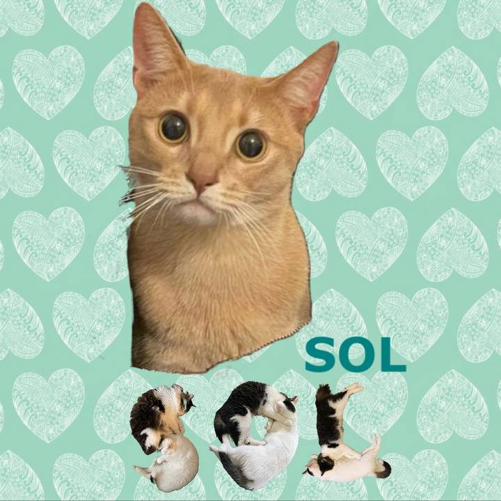 5f68fb4f 8ee0 4cb7 88b3 8e7e1a2e81e9 1668663278316