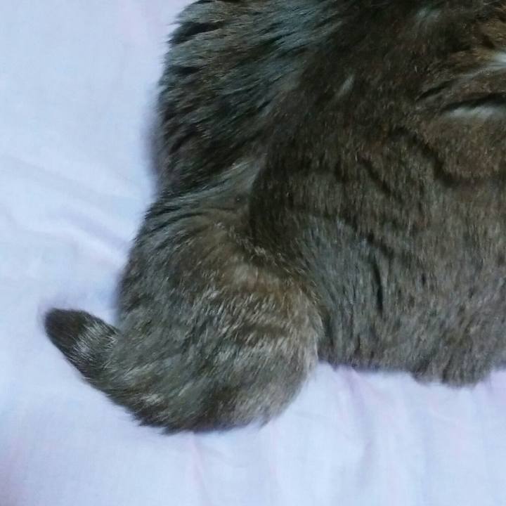 5f69411f 6fe2 4fde 89a8 9b4fa39813c8 1560174574084