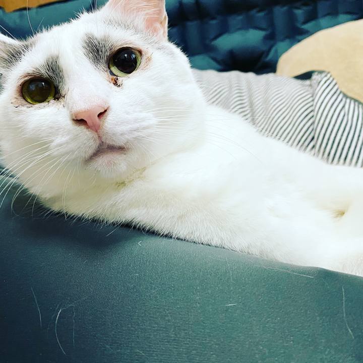 5f695904 c61c 433b be74 15dc5d2bf988 1613911898720