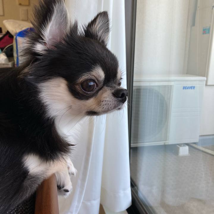 5f695fe3 1cc6 473c b40e b9e45505e418 1620430529784