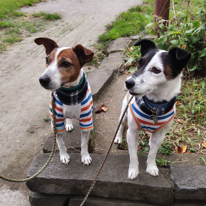 5f696357 9386 494d 92f5 d52f6145e7f7 1727213636452