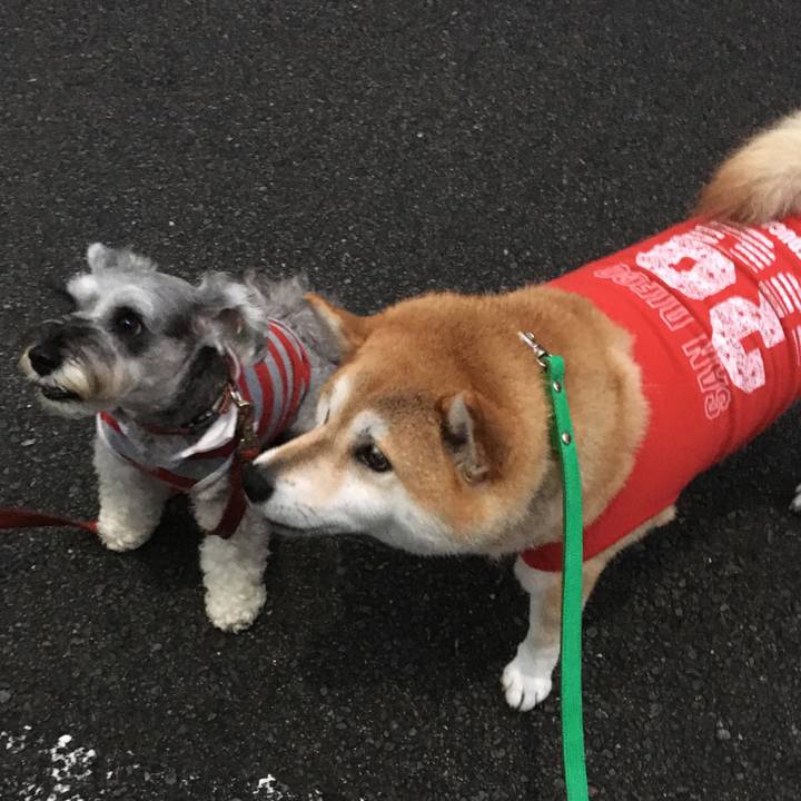 5f697331 4fcf 4775 bd0d 923b5488687d 1602406952155