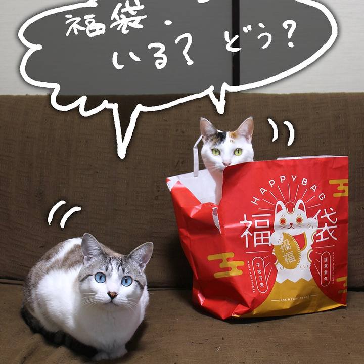 5f698137 a286 4617 974e 70556e6dc5dc 1641167408896