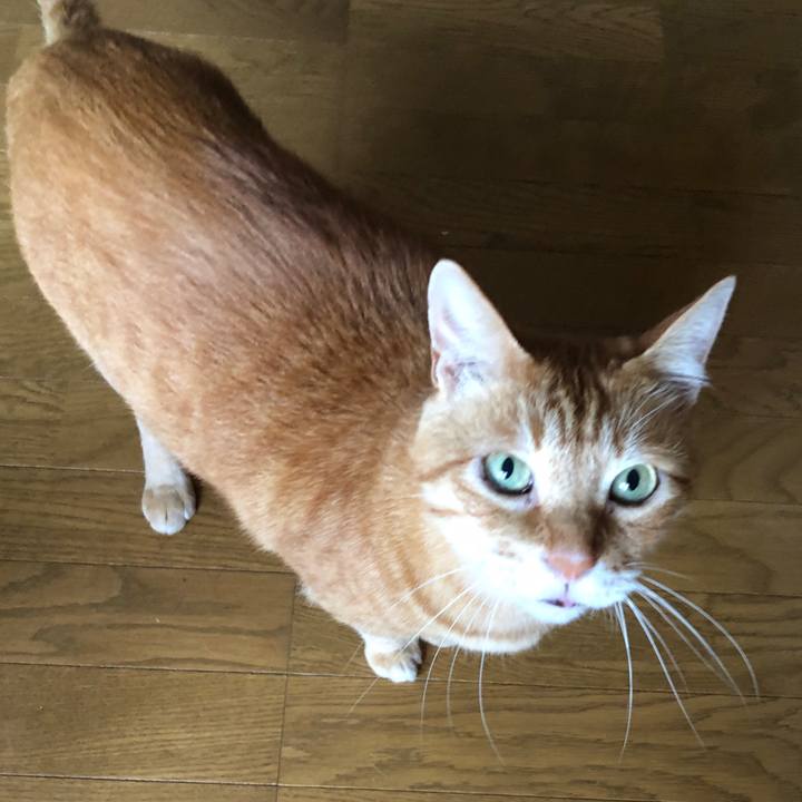 5f698325 08b5 40d8 8381 fb39c1f60381 1723858793222