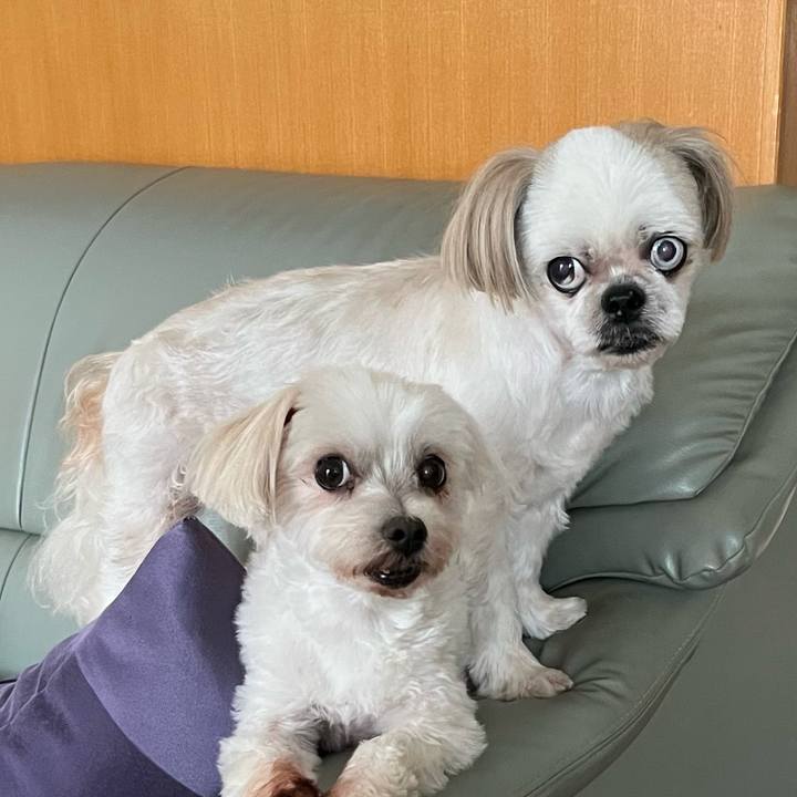 5f699479 17f2 454c bbf5 711bffb8db5e 1660044850075