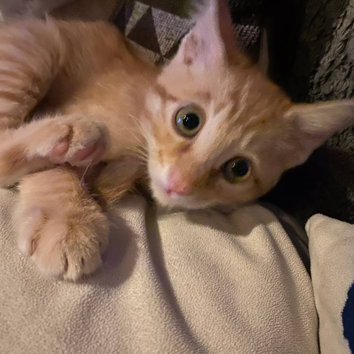 5f69b250 1cf9 47f8 a91f a1b39808b8c1 1574501398842