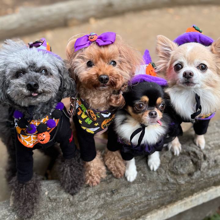 5f69e954 445c 43fe ad92 8e5e00092132 1761866974347